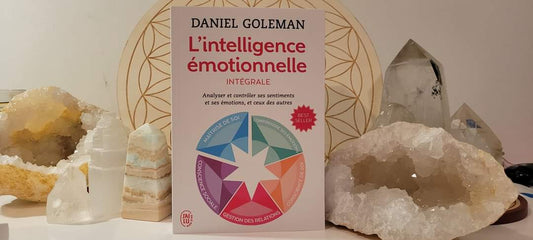 Livre - L'intelligence émotionnelle intégrale