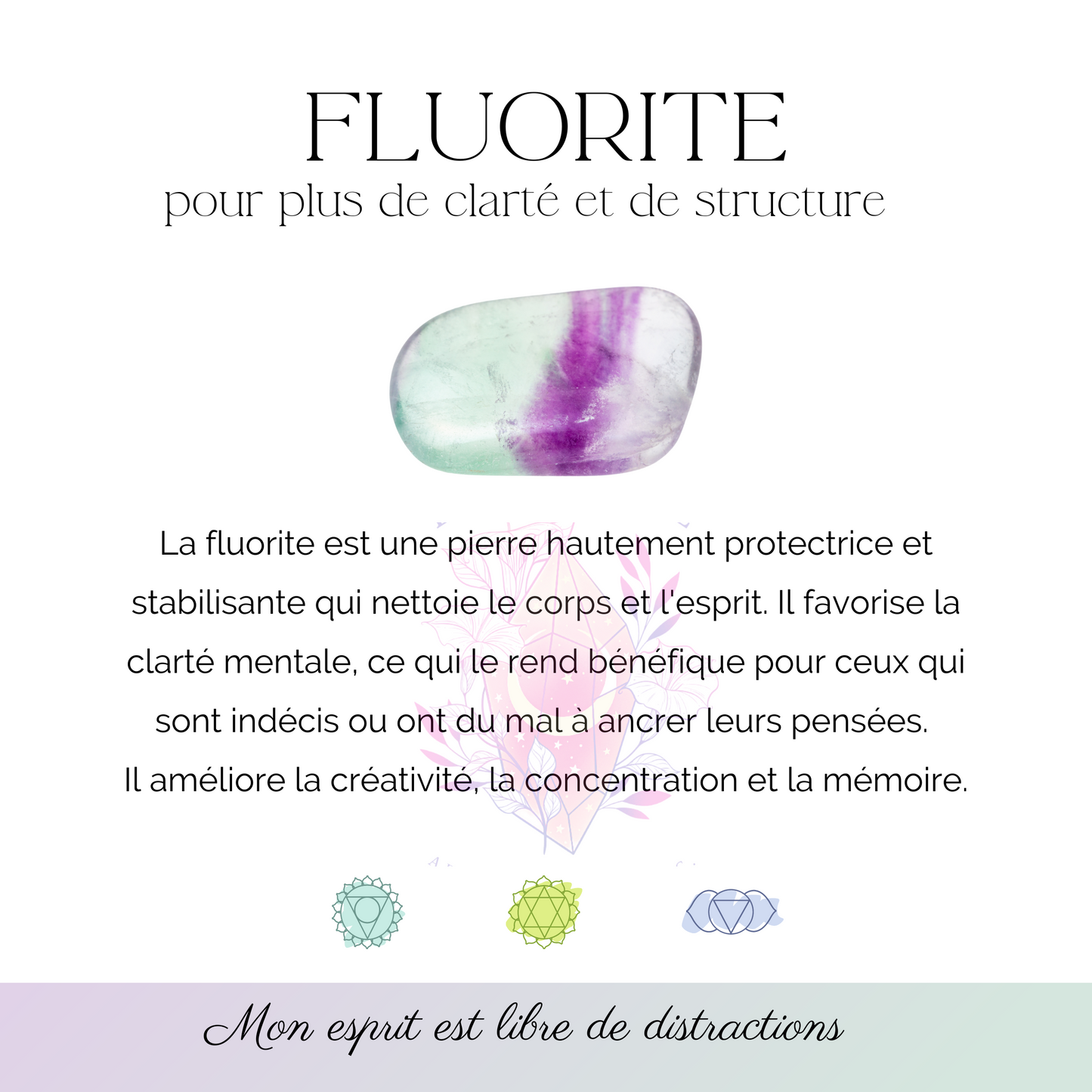 Accessoires - MALA en fluorite -billes 8 mm- 34″