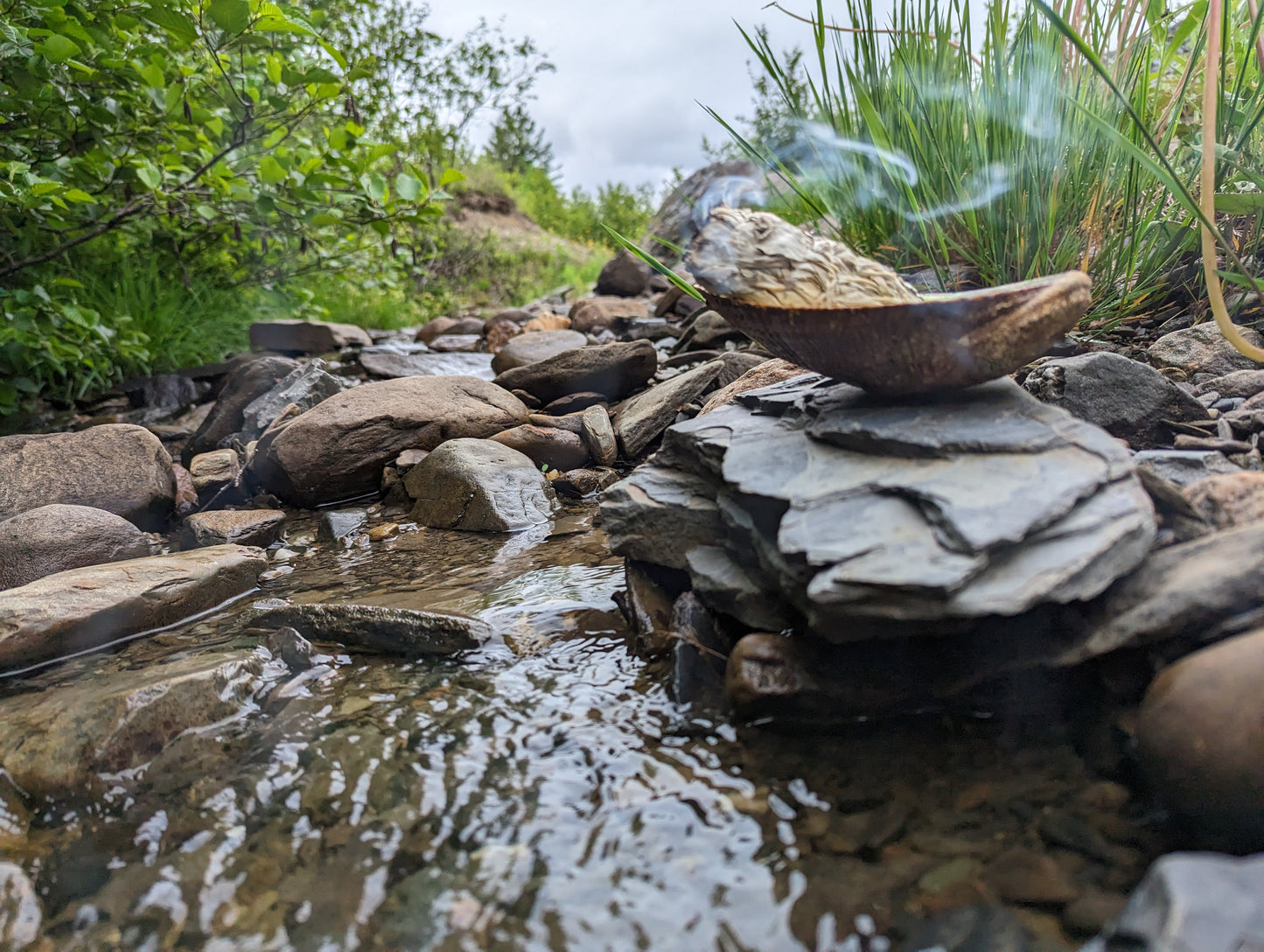 FUMIGATION - Ensemble pour débutants  coquille 3-4″ )