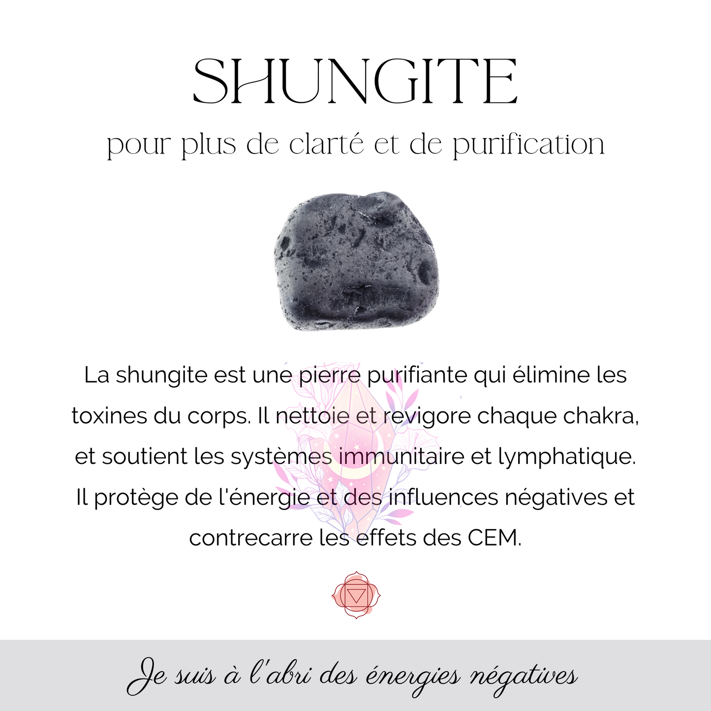 Pierres roulées -Shungite