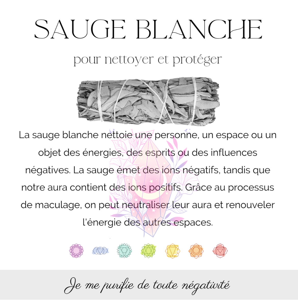 FUMIGATION - Ensemble pour débutants  coquille 3-4″ )