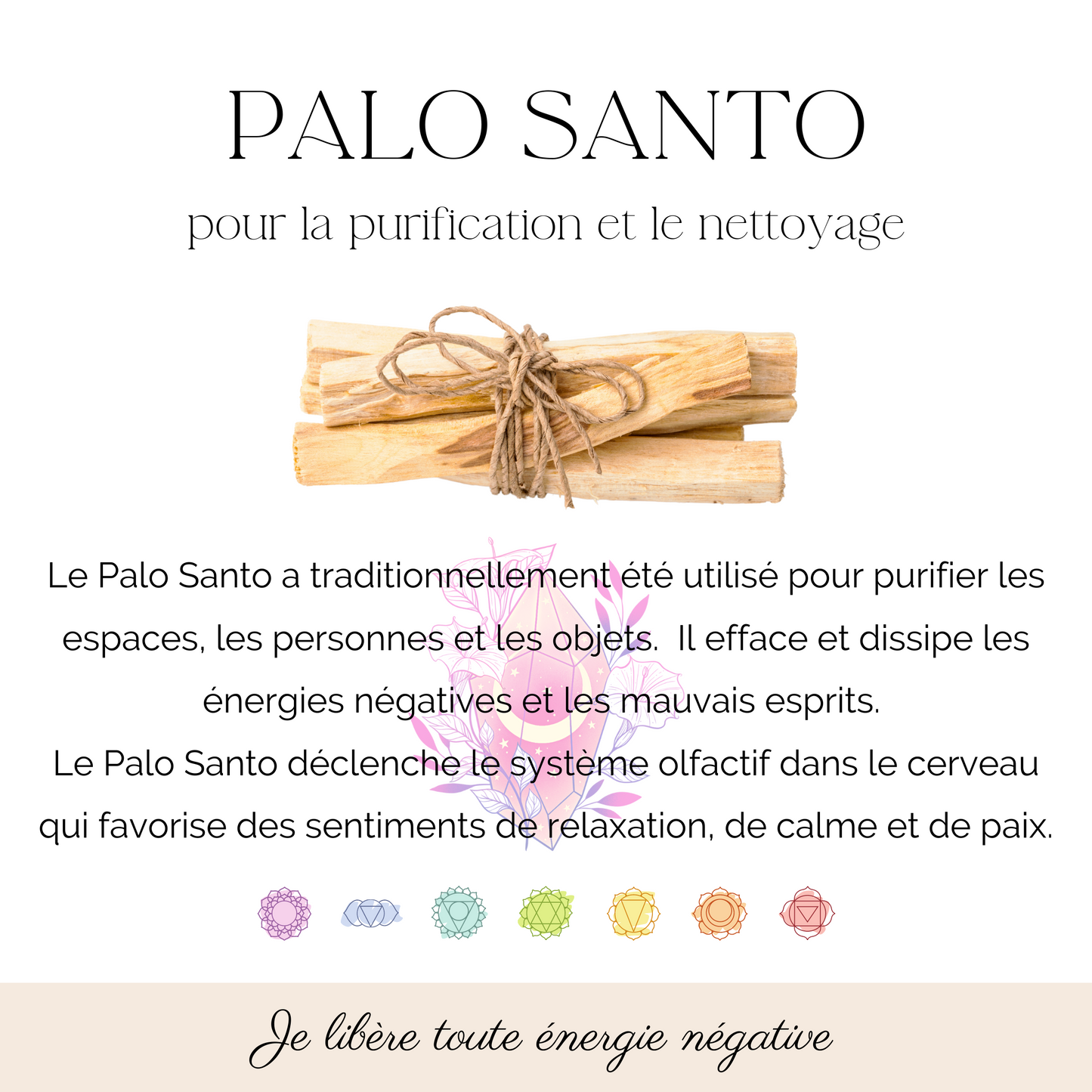 FUMIGATION - Ensemble pour débutants  coquille 3-4″ )