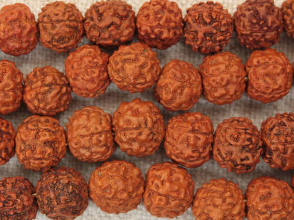 Accessoires - MALA-GRAINES RUDRAKSHA 12MM-48″