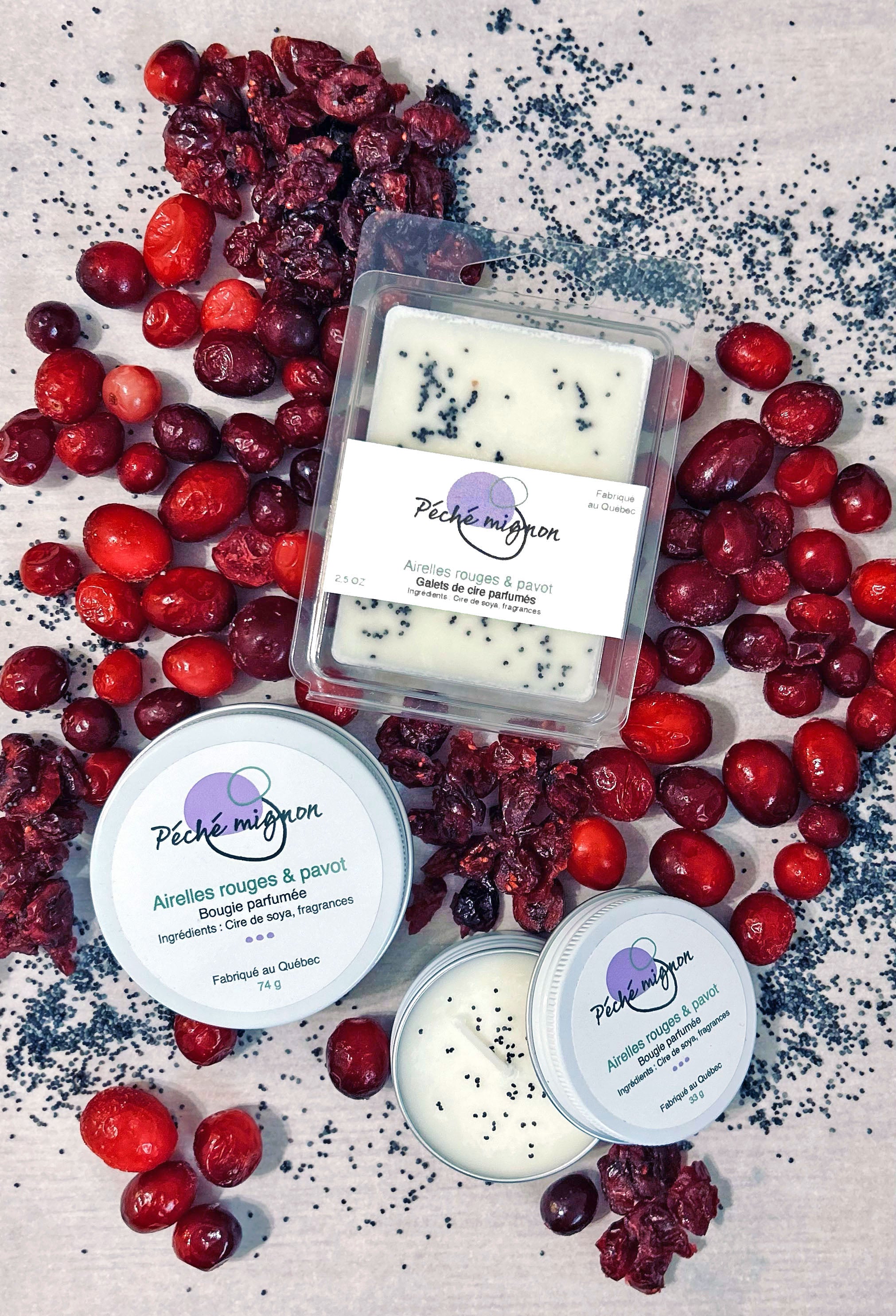 PÉCHÉ MIGNON - Bougies (30g)