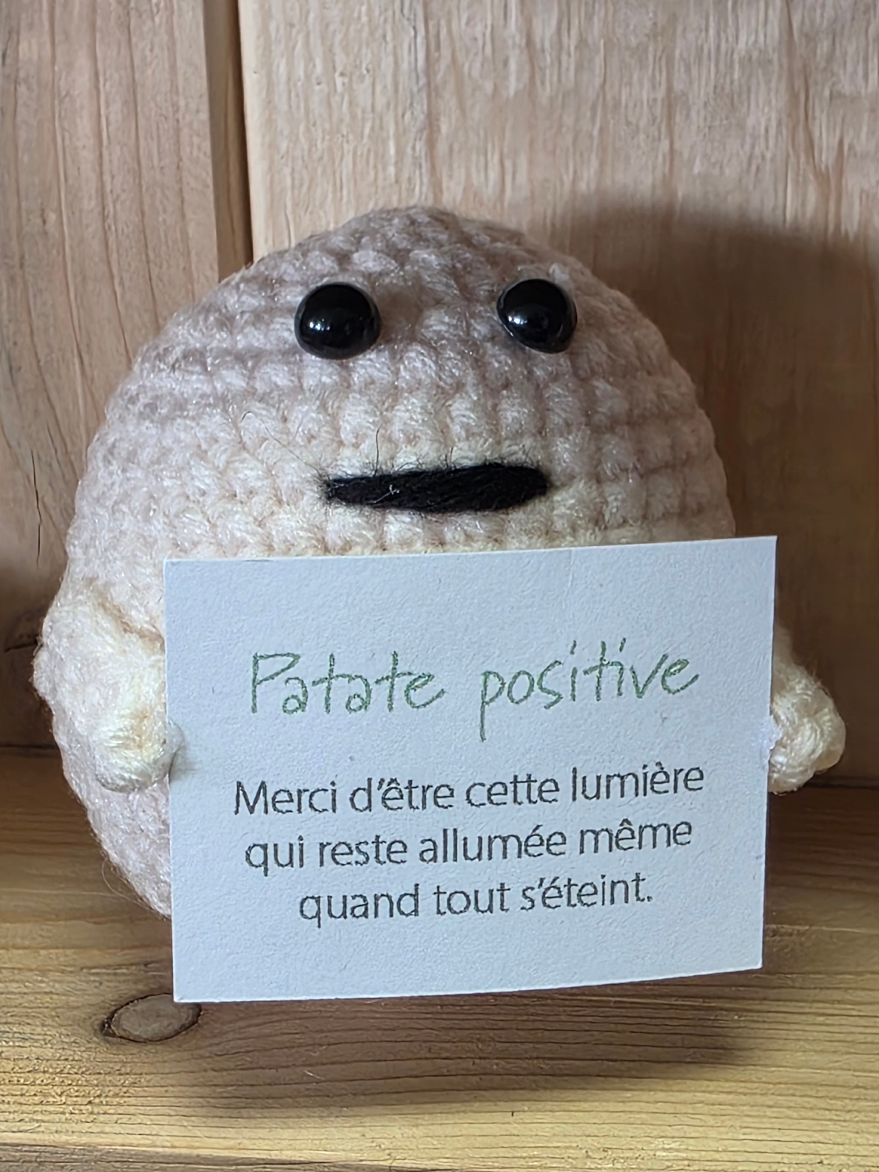 PÉCHÉ MIGNON - La patate positive
